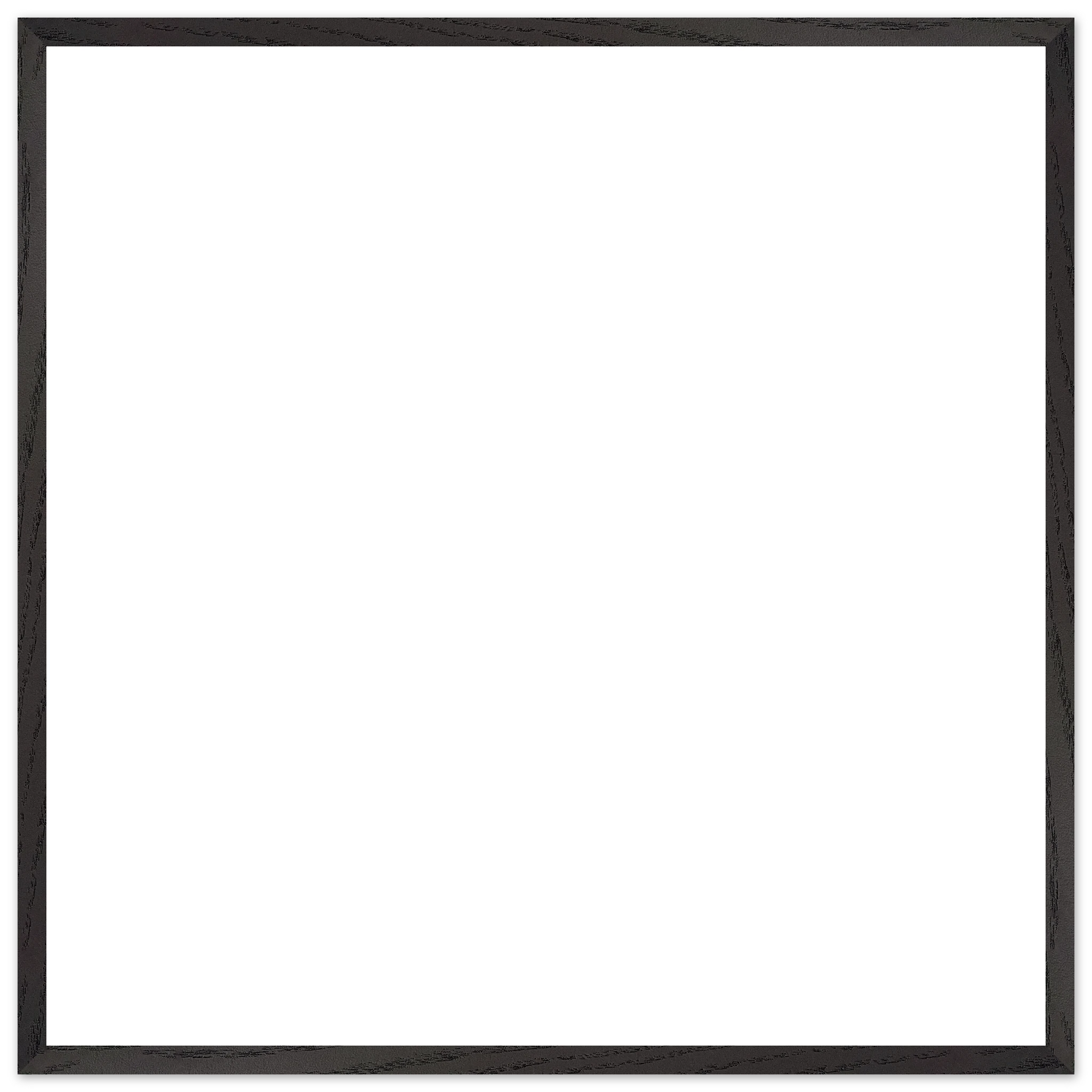 062db52d-14f0-43e2-84f7-d4f645a45790