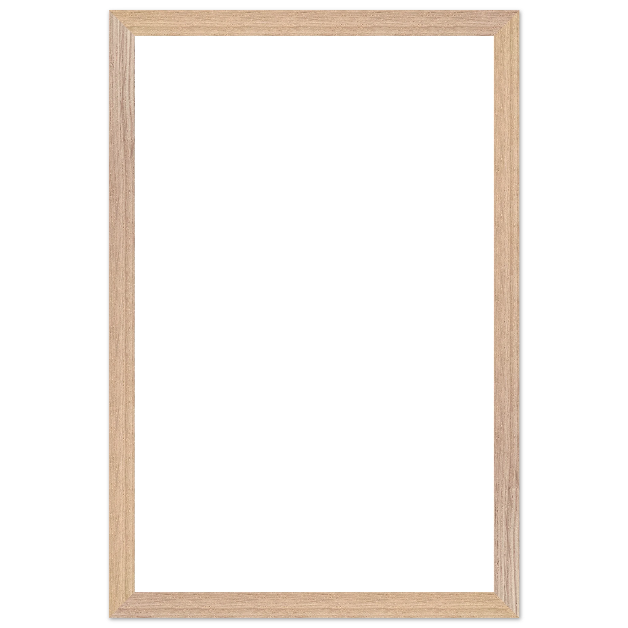 e8dc6cb2-ad28-4c50-892e-3d29aaf65267